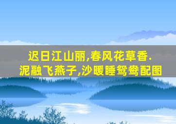 迟日江山丽,春风花草香. 泥融飞燕子,沙暖睡鸳鸯配图